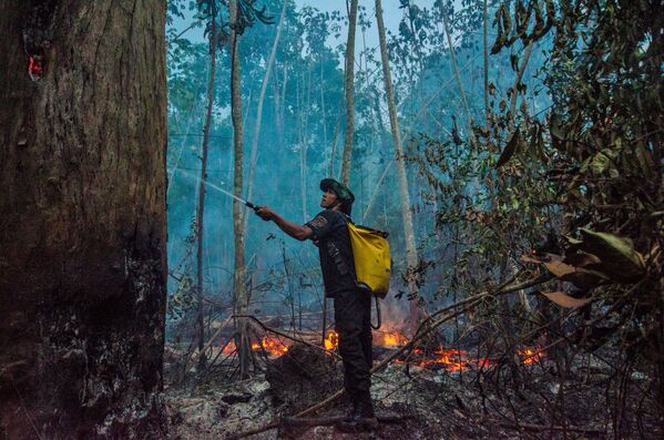 Meža ugunsgrēki Brazīlijā turpinājās arī septembrī un oktobrī. Ar tām cīnas vietējie iedzīvotāji – Meža sargi. Ugunsgrēki Brazīlijas unikālajā reģionā Pantanalē bija rekordlieli pēdējo 22 gadu laikā. Kosmiskie novērojumi liecina, ka bez meža palikušās platības Amazonē pieaugušas par 34% - līdz 9,1 tūkst. kvadrātkilometru - Sputnik Latvija