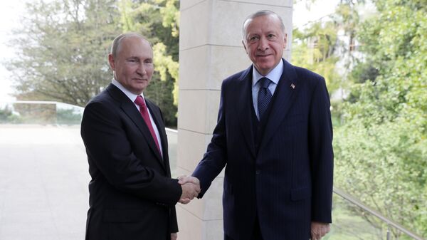 У кого титры выше: Путин и Эрдоган померились антителами к коронавирусу - Sputnik Latvija