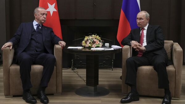 Президент РФ В. Путин провел переговоры с президентом Турции Р. Эрдоганом - Sputnik Latvija