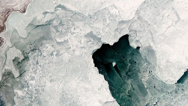 Разнообразие типов льда, которые могут образовываться в северной части Каспийского моря - Sputnik Латвия