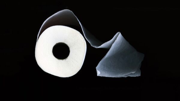 Tualetes papīrs. Foto no arhīva - Sputnik Latvija