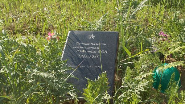 Братская могила советских воинов, партизан и жертв фашизма в окрестностях деревни Жестяная Горка - Sputnik Latvija