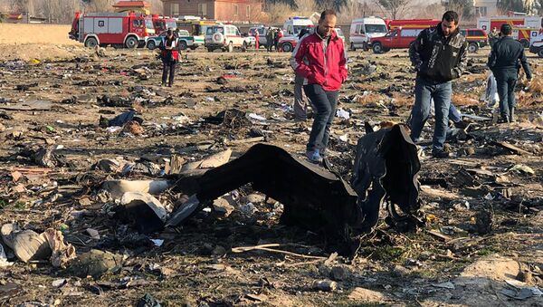 Крушение украинского самолета в Иране - Sputnik Латвия