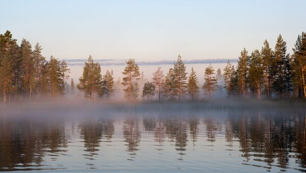 Meža ezers Karēlijas Republikā. Foto no arhīva - Sputnik Latvija