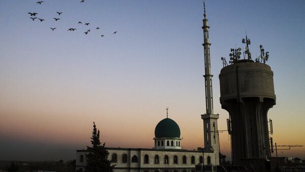 Damaska. Foto no arhīva - Sputnik Latvija