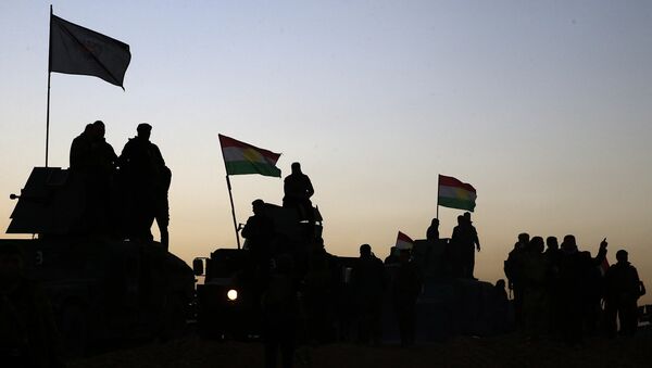 Иракские военные и Курдские силы начинают операцию на юге и востоке Мосула, архивное фото - Sputnik Латвия