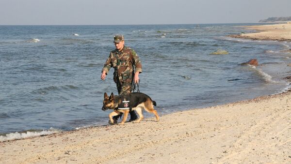 Пограничник со служебной собакой - Sputnik Латвия