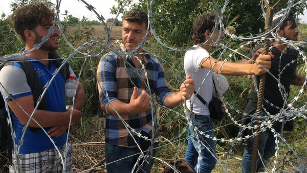 Мужчины перед забором, построенным на границе - Sputnik Latvija