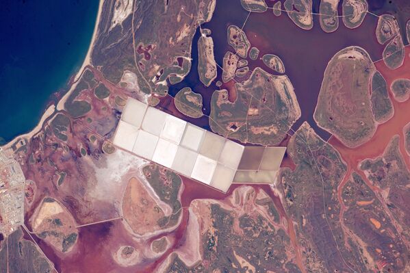 Вид из космоса на соляные пруды в Австралии - Sputnik Латвия