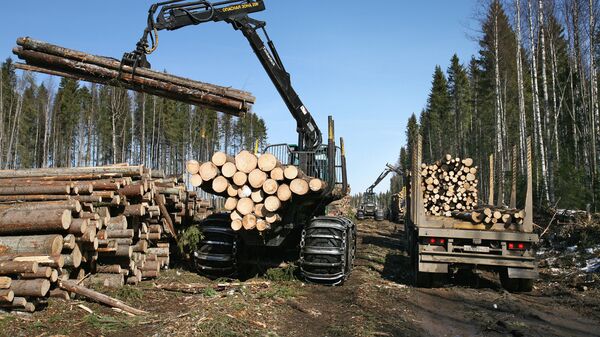 Заготовка леса. Архивное фото - Sputnik Latvija